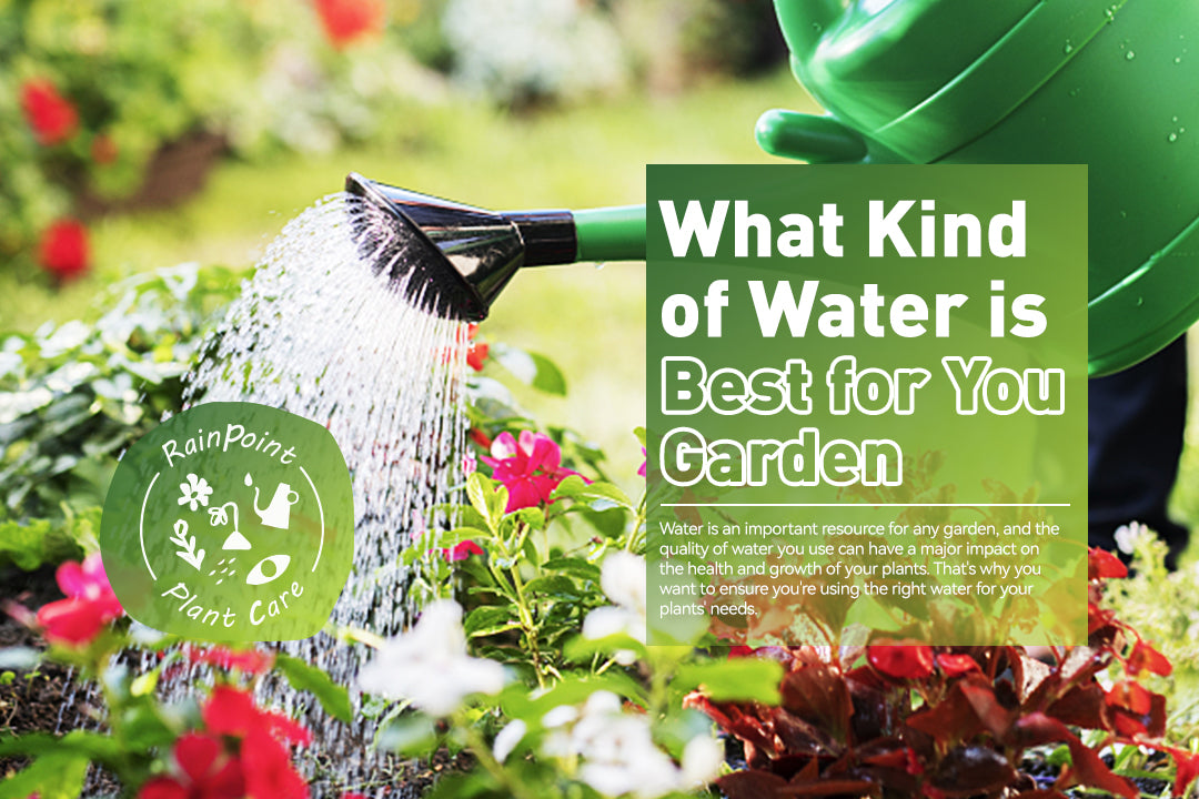 what-kind-of-water-is-best-for-your-garden-rainpoint-irrigation