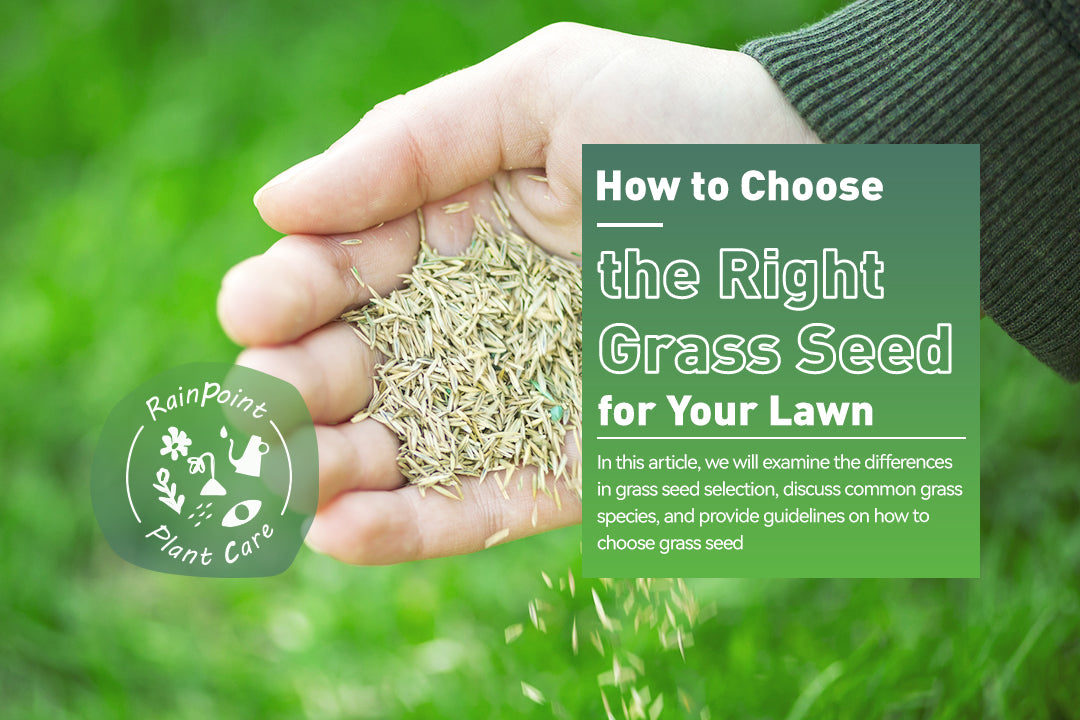 How to Choose the Right Grass Seed for Your Lawn – RainPoint