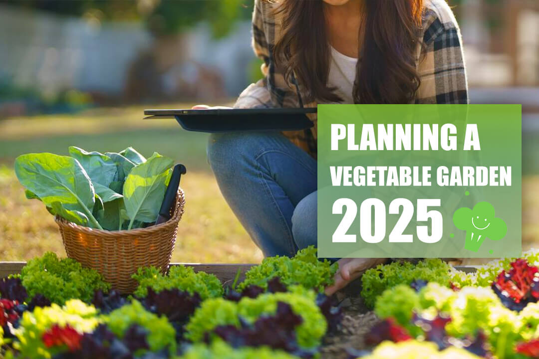 Planning the 2025 Vegetable Garden