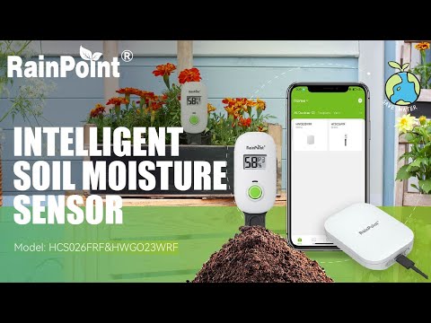 RainPoint Digital Wireless Plant Moisture Meter Houseplant Indoor with Low/High Moisture Alert